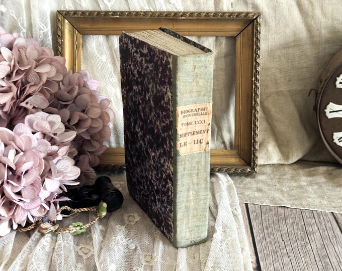Antique French Hardback Book - 19th Century - Rag Paper - Bookshelf Decor