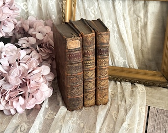Set of 3 Antique French Leather Bound Books - Bookshelf Decor