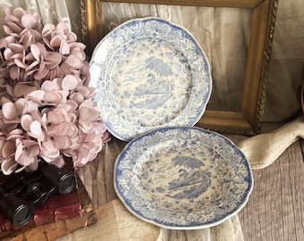 Pair of Vintage Swedish Rostrand Ironstone Small Plates - Blue Transferware - Kitchen Decoration