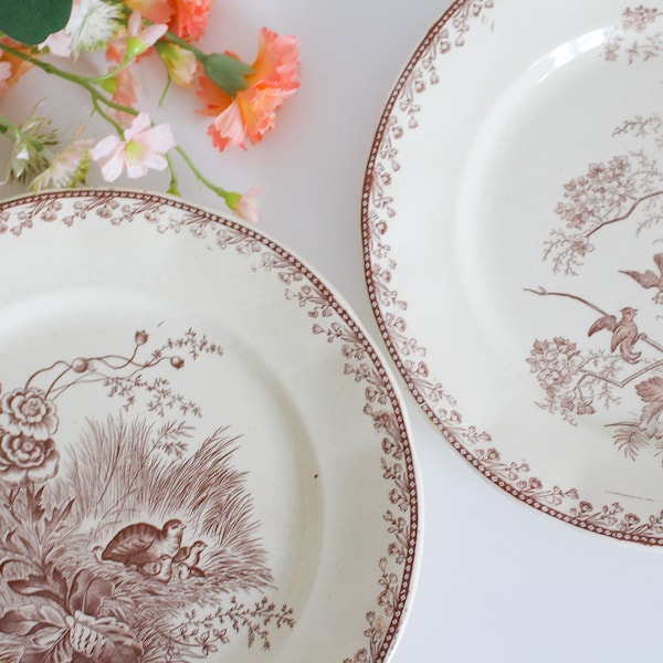 Pair of Vintage French Ironstone Plates - Decorative Bird Motif Plate - FF Pexonne - Oiseaux