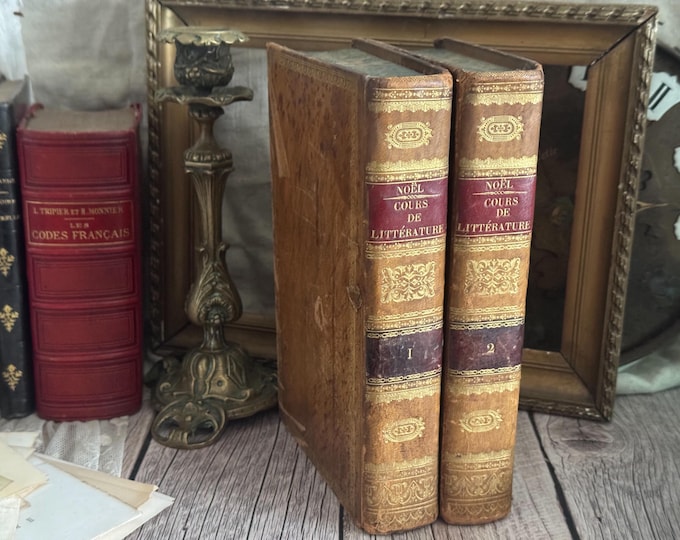 Set of 2 Antique French Books - 19th Century