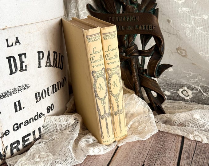 Set of 2 Vintage French Nelson Books - Book Bundle - Shabby Chic - Decorative Books - Sans Famille - Hector Malot