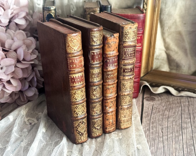 Set of 4 Antique French Leather Bound Books - Bookshelf Decor - 18th Century - 1700s