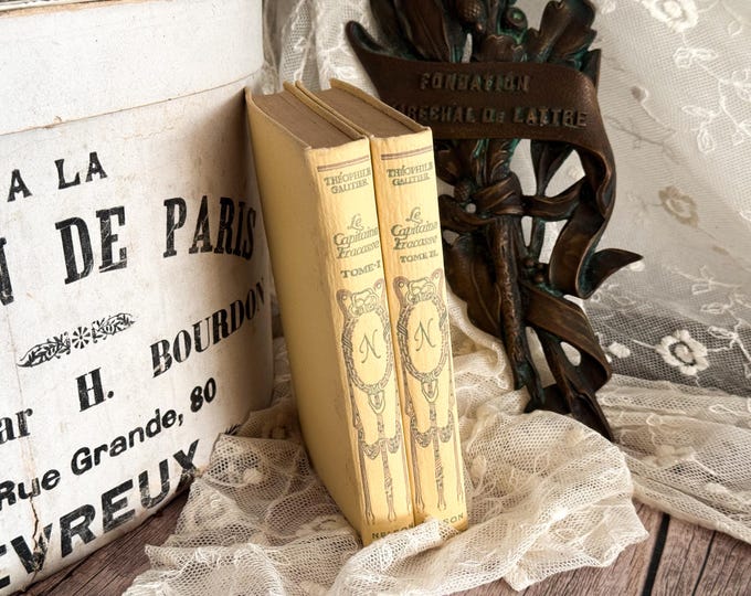 Set of 2 Vintage French Nelson Books - Book Bundle - Shabby Chic - Decorative Books - Le Capitaine Fracasse - Theophile Gautier