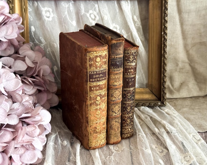 Set of 3 Antique French Leather Bound Books - Bookshelf Decor - 18th Century