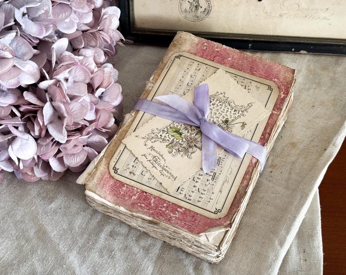 Antique French Paperback Book with Ruffled Pages - 19th Century - Rag Paper