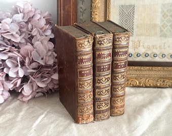 Set of 3 Antique French Leather Bound Books - Bookshelf Decor - 18th Century
