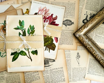 20 Pieces Random Assorted Antique French Encyclopaedia Pages - Paper Ephemera - 19th Century - Junk Journal - Scrapbooking - Collage
