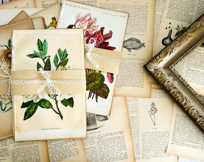 20 Pieces Random Assorted Antique French Encyclopaedia Pages - Paper Ephemera - 19th Century - Junk Journal - Scrapbooking - Collage