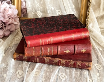 Set of 3 Vintage French Books - Decorative Book Cover - Bookshelf Decor