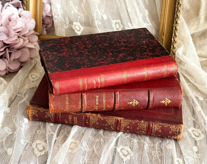 Set of 3 Vintage French Books - Decorative Book Cover - Bookshelf Decor