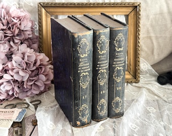Set of 3 Antique French Books - Bookshelf Decor Display