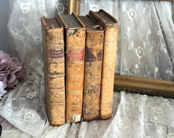 Set of 4 Antique French Leather Bound Books - Bookshelf Decor