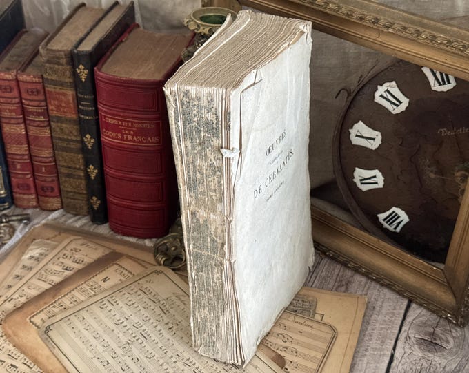 Antique French Book with Ruffled Pages - 19th Century - Rag Paper