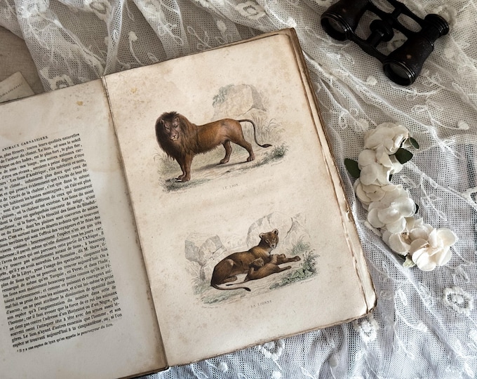 Antique French Paperback Book with Ruffled Pages - 19th Century - Nature Book - Vol. 12