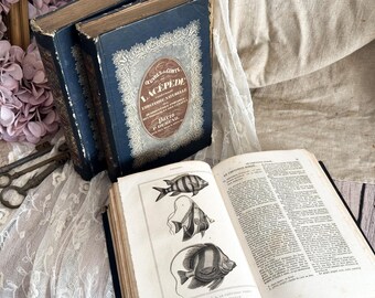 Set of 3 Antique French Hardback Books - 19th Century - Histoire Naturelle - Lacepede