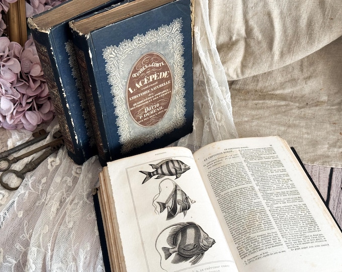 Set of 3 Antique French Hardback Books - 19th Century - Histoire Naturelle - Lacepede