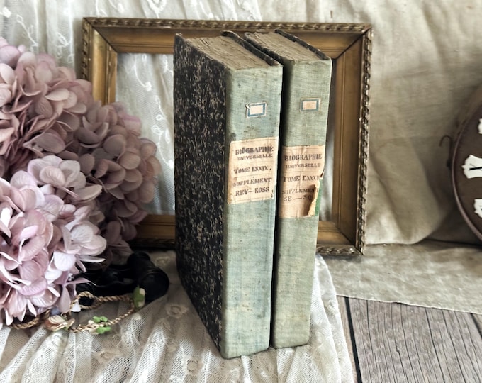 Set of 2 Antique French Hardback Books with Ruffled Pages - 19th Century - Rag Paper