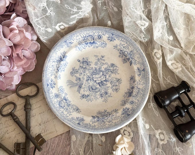 Vintage Asiatic Pheasants Dessert/Tea Plate
