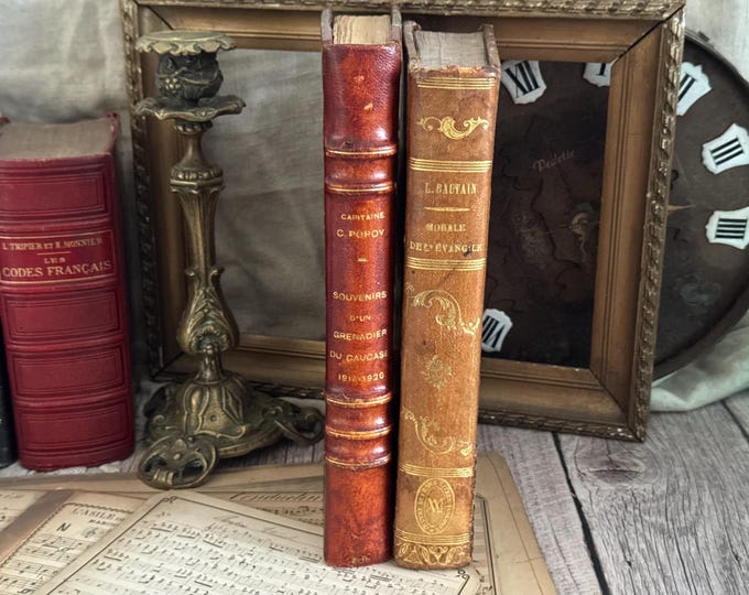 Set of 2 Vintage French Books - Decorative Book Cover - Bookshelf Decor