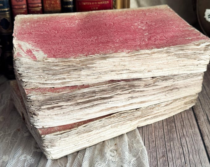 Set of 3 Antique French Paperback Books with Ruffled Pages - 19th Century - Rag Paper