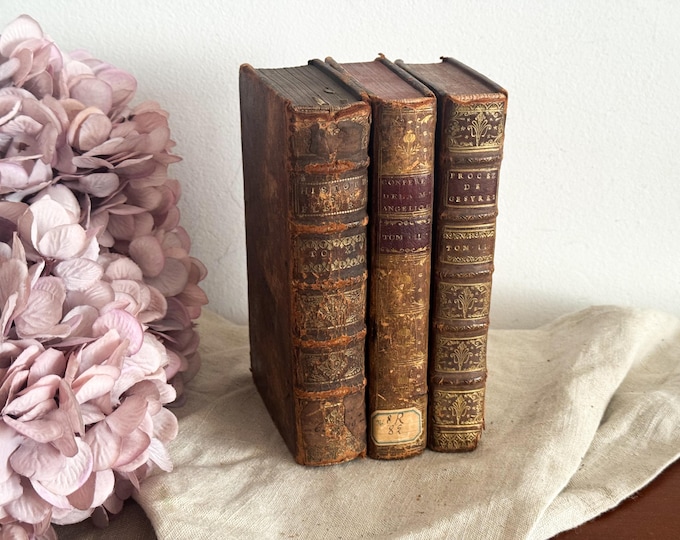 Set of 3 Antique French Leather Bound Books - Bookshelf Decor - 18th Century - 1700s