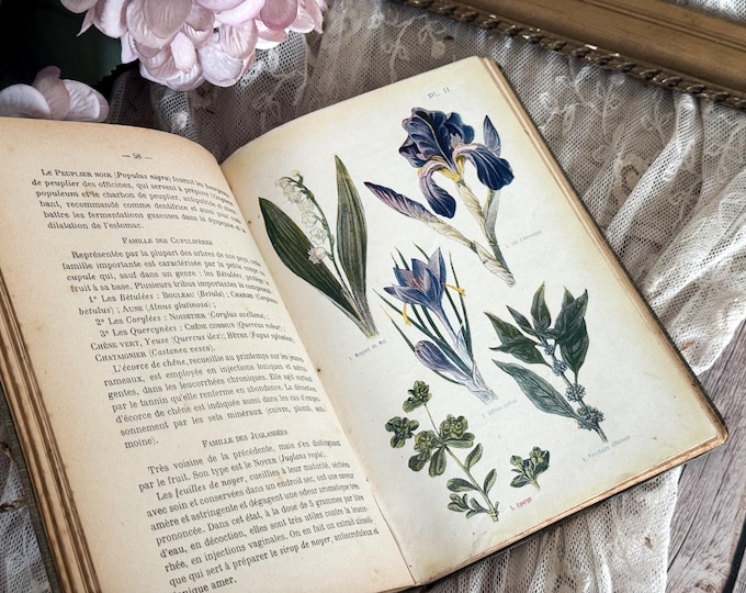 Vintage French Book - Les Plantes Medicinales - Botanical Illustrations