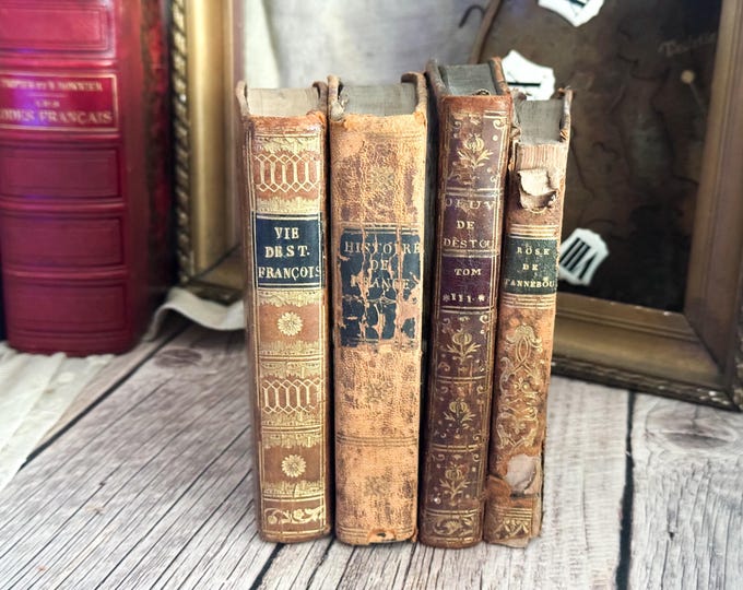 Set of 4 Antique French Small Books - Bookshelf Decor