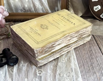 Set of 2 Antique French Paperback Books with Ruffled Pages - 19th Century - Rag Paper