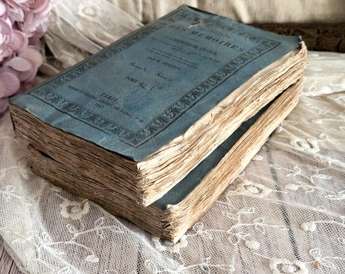 Set of 2 Antique French Paperback Books with Ruffled Pages - 19th Century