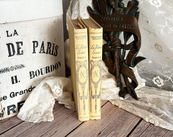 Set of 2 Vintage French Nelson Books - Book Bundle - Shabby Chic - Decorative Books - La Petite Soeur - Hector Malot