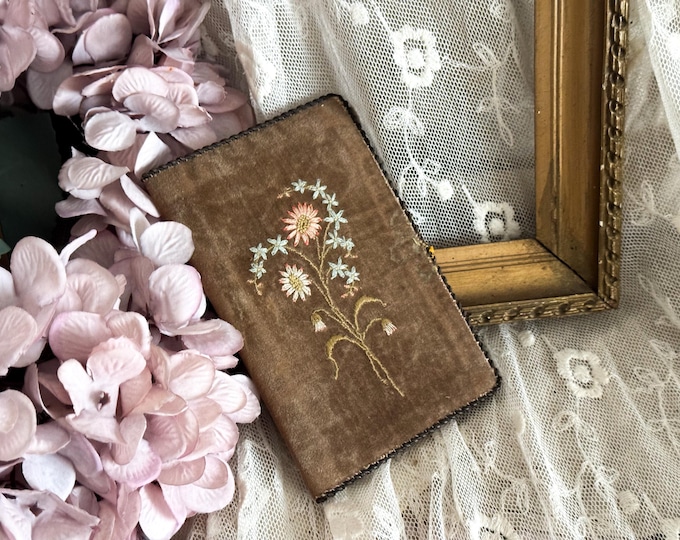 Antique French Velvet and Silk Note Case - 20th Century