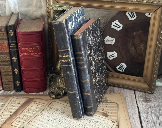 Set of 2 Vintage French Books - Decorative Book Cover - Bookshelf Decor