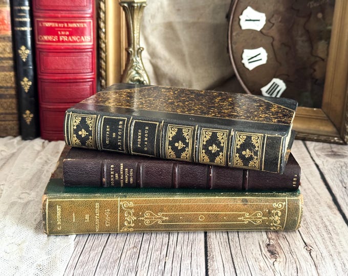 Set of 3 Vintage French Books - Decorative Book Cover - Bookshelf Decor