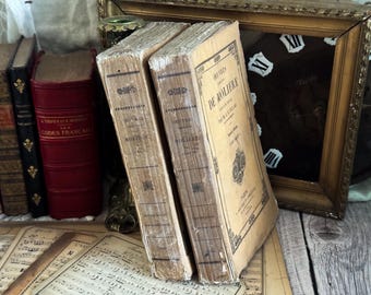 Set of 2 Antique French Paperback Books with Ruffled Pages - 19th Century - Moliere