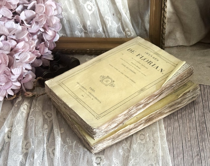 Set of 2 Antique French Paperback Books with Ruffled Pages - 19th Century - Rag Paper