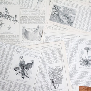 May include: A collection of vintage, black and white pages from a book about plants and nature. The pages feature illustrations of plants, birds, and fish, along with text about their characteristics and uses. The pages are slightly yellowed with age, giving them a vintage aesthetic.