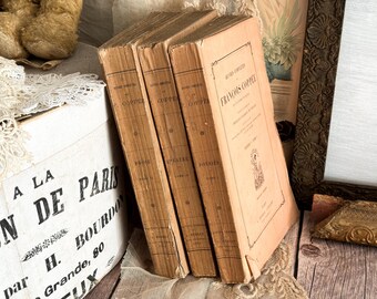 1830 Set of 2 Antique French Paperback Books With Ruffled Pages 