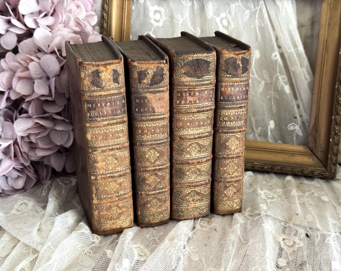 Set of 4 Antique French Leather Bound Books - Bookshelf Decor