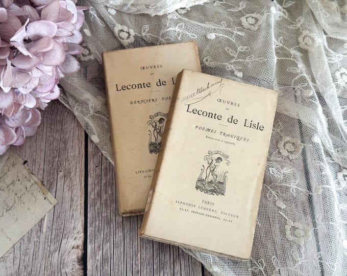 Set of 2 Antique French Small Paperback Books - 20th Century - Bookshelf Decor
