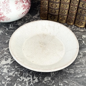 May include: A white, antique ceramic plate with a cracked, textured surface. The plate is round with a slightly raised rim. A portion of a floral patterned bowl and several antique books are also visible.