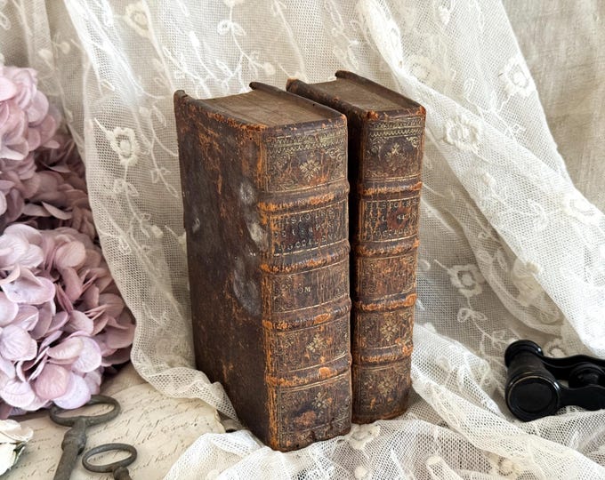 1684 Set of 2 Antique French Leather Bound Books - 17th Century - Bookshelf Decor - History of the Western Empire