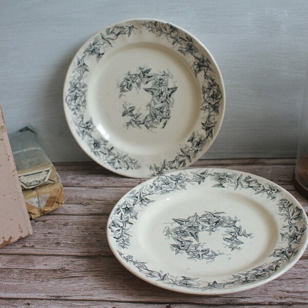 Pair of Vintage French Ironstone Dinner Plates - French Farmhouse Decor - Longchamp Liserons
