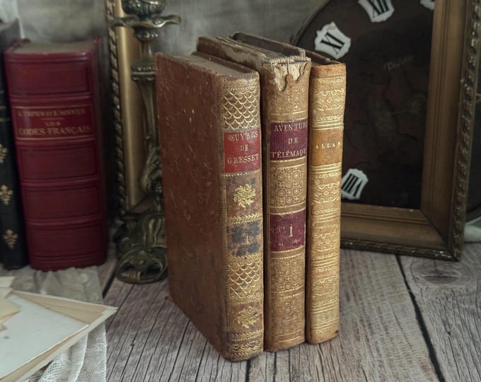 Set of 3 Antique French Leather Bound Books - Bookshelf Decor - 19th Century - 1800s