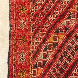 Moroccan rug Zayane 6.7x11.3feet / 205x344cm image 10
