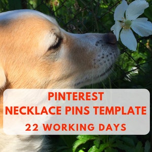 Pinterest  Social media help  Pinterest help Pinterest templates  Pinterest traffic  Pinterest Pins  Pinterest marketing Pinterest planner