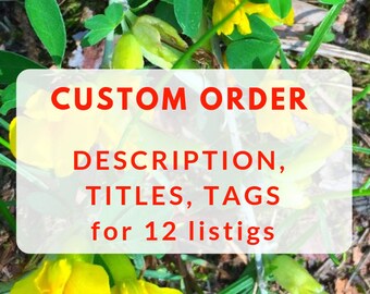 Descriptions  Item description SEO help Etsy listing help Etsy descriptions Product description  Writing services Creative writing