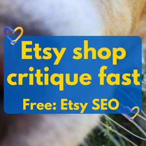 Etsy shop critique, Etsy shop help, Etsy shop review fast