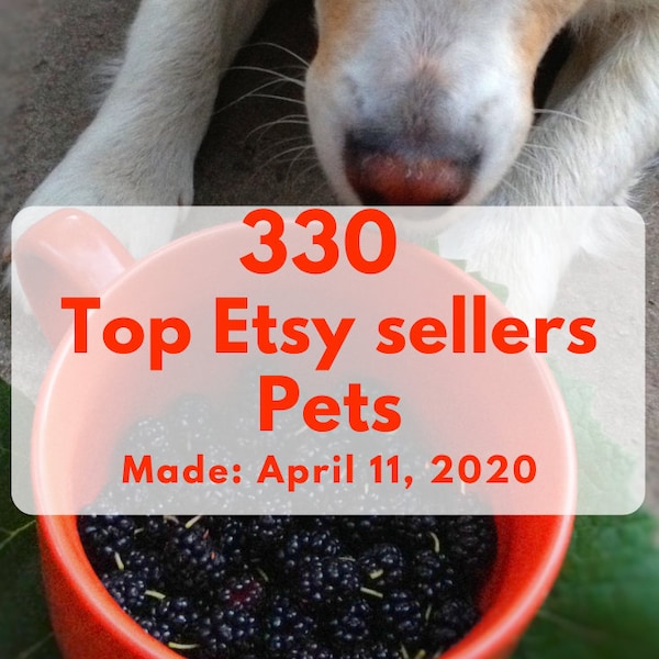 Top Etsy sellers. 330 Etsy top selling shops Pets