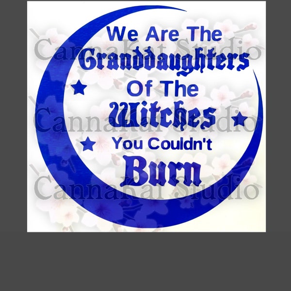 Decal We are the Grandaughters of the Witches you couldnt Burn bumper sticker witch wiccan wicca pagan spiritual moon magic magick women car